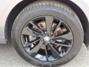 Thumbnail image of 2025 Jaguar F-PACE at Piazza Jaguar Land Rover Willow Grove