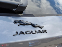Thumbnail image of 2025 Jaguar F-PACE at Piazza Jaguar Land Rover Willow Grove