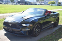Thumbnail image of 2022 Ford Mustang at Certified Performance Motors