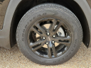 Thumbnail image of 2022 GMC Terrain at Frank Brown Honda GMC