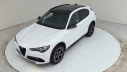 Thumbnail image of 2024 Alfa Romeo Stelvio at Maserati & Alfa Romeo of Monmouth