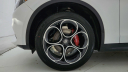 Thumbnail image of 2024 Alfa Romeo Stelvio at Maserati & Alfa Romeo of Monmouth