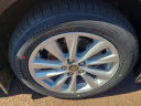 Thumbnail image of 2023 Toyota Corolla at Peruzzi Toyota(New)