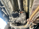 Thumbnail image of 2021 Toyota Tacoma at HIGHLINE AUTO FL LLC