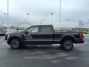 Thumbnail image of 2022 Ford F-150 at Raabe Ford Lincoln