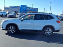 Thumbnail image of 2023 Subaru Forester at Bob Brady Auto Mall
