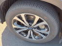 Thumbnail image of 2023 Subaru Forester at Bob Brady Auto Mall