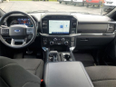 2022 Ford F-150 XLT at Seelye of Pawpaw