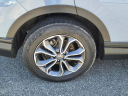 Thumbnail image of 2022 Honda CR-V at The New Babylon Honda