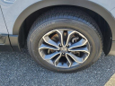 Thumbnail image of 2022 Honda CR-V at The New Babylon Honda