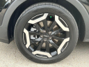 Thumbnail image of 2023 Kia Telluride at Kendall Dodge Chrysler Jeep Ram