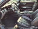 Thumbnail image of 2022 Ford Mustang at Star Lincoln, Inc.