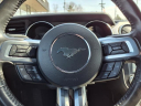 Thumbnail image of 2022 Ford Mustang at Star Lincoln, Inc.