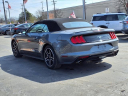 Thumbnail image of 2022 Ford Mustang at Star Lincoln, Inc.