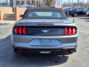 Thumbnail image of 2022 Ford Mustang at Star Lincoln, Inc.