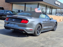 Thumbnail image of 2022 Ford Mustang at Star Lincoln, Inc.