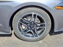 Thumbnail image of 2022 Ford Mustang at Star Lincoln, Inc.