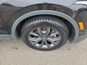 Thumbnail image of 2022 Volkswagen Tiguan at GengrasVolkswagen NEW