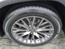 Thumbnail image of 2019 Lexus RX 450h at Lynnes Nissan City Inc