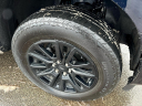 Thumbnail image of 2024 Ford F-150 at O'Connor's Auto Outlet