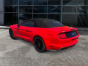 Thumbnail image of 2015 Ford Mustang at Lifetime Kia