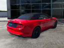 Thumbnail image of 2015 Ford Mustang at Lifetime Kia