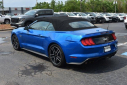 Thumbnail image of 2021 Ford Mustang at Superior Nissan of Conway NEW
