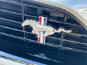 Thumbnail image of 2021 Ford Mustang at Vision Hyundai Webster