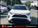 Thumbnail image of 2020 Toyota RAV4 at Penn Toyota