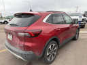 Thumbnail image of 2023 Ford Escape Hybrid at Bison Motor Company