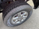 Thumbnail image of 2024 Ford F-150 at UltimateFord of Mountain Home, AR