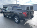 Thumbnail image of 2024 Ford F-150 at UltimateFord of Mountain Home, AR
