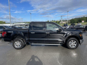 Thumbnail image of 2024 Ford F-150 at UltimateFord of Mountain Home, AR