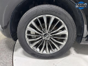 2019 INFINITI QX80 Limited at Luxury Imports