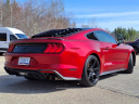 Thumbnail image of 2020 Ford Mustang at Mcfarland Ford Rochester