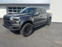 2017 Ford F-150 Raptor at MercedesBenzOfNovi of Novi, MI