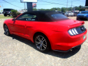Thumbnail image of 2017 Ford Mustang at Dothan Truck and Auto