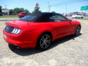Thumbnail image of 2017 Ford Mustang at Dothan Truck and Auto