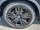 Thumbnail image of 2022 Honda Pilot at Honda Universe