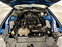 Thumbnail image of 2019 Ford Mustang at Golden Circle Auto Outlet