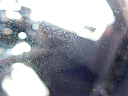 Thumbnail image of 2013 Dodge Challenger at USA Auto Sales of Central Florida