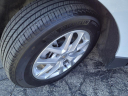 Thumbnail image of 2023 Chevrolet Equinox at Arnie Bauer Chevrolet Buick