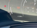 Thumbnail image of 2025 Lexus NX 350 at Lexus of Freeport