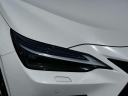 Thumbnail image of 2025 Lexus NX 350 at Lexus of Freeport