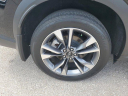 Thumbnail image of 2024 INFINITI QX60 at Infiniti of Fort Myers
