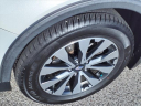 Thumbnail image of 2016 Subaru Outback at Serra Buick Gmc Champaign