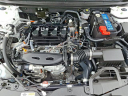 Thumbnail image of 2024 Honda Accord at J L Freed Honda (Used)