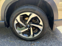 Thumbnail image of 2023 Subaru Forester at LaFontaine Toyota Kia Genesis of Dearborn