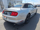 Thumbnail image of 2022 Ford Mustang at Ed Martin Budget Car Sales. USED