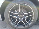 Thumbnail image of 2022 Ford Mustang at Ed Martin Budget Car Sales. USED